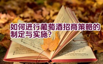 如何进行葡萄酒招商策略的制定与实施？插图