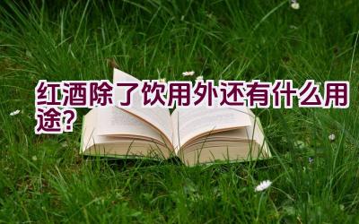 红酒除了饮用外还有什么用途？插图