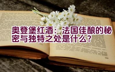 “奥登堡红酒：法国佳酿的秘密与独特之处是什么？”插图