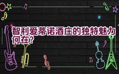 “智利爱蒂诺酒庄的独特魅力何在？”插图