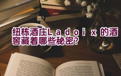 纽栋酒庄Ladoix的酒窖藏着哪些秘密？插图