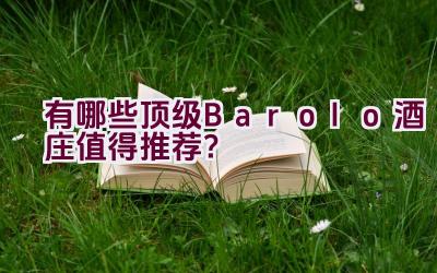 有哪些顶级Barolo酒庄值得推荐？插图