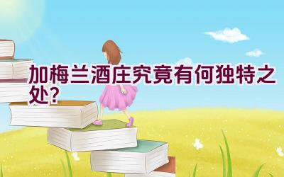 加梅兰酒庄究竟有何独特之处？插图