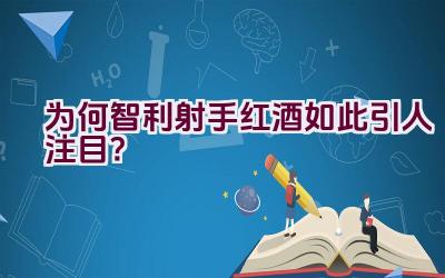 为何智利射手红酒如此引人注目？插图