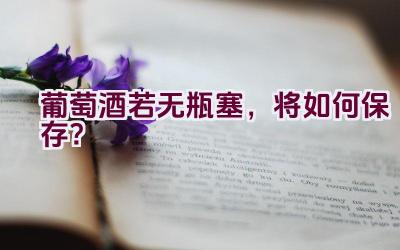 葡萄酒若无瓶塞，将如何保存？插图