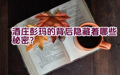 酒庄彭玛的背后隐藏着哪些秘密？插图