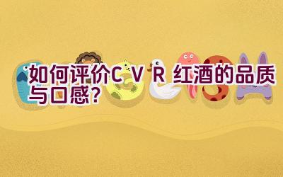 “如何评价CVR红酒的品质与口感？”插图