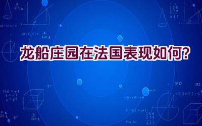 龙船庄园在法国表现如何？插图