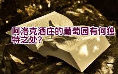 阿洛克酒庄的葡萄园有何独特之处？插图