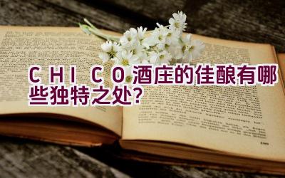 CHICO酒庄的佳酿有哪些独特之处？插图