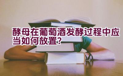 酵母在葡萄酒发酵过程中应当如何放置？插图