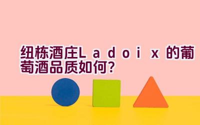 纽栋酒庄Ladoix的葡萄酒品质如何？插图