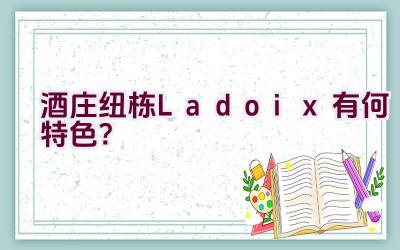 酒庄纽栋Ladoix有何特色？插图