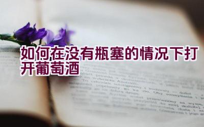 如何在没有瓶塞的情况下打开葡萄酒插图