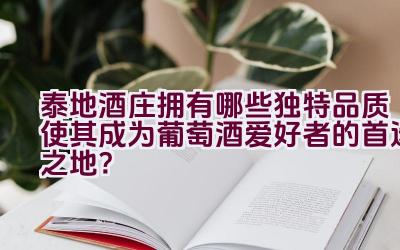 泰地酒庄拥有哪些独特品质使其成为葡萄酒爱好者的首选之地？插图