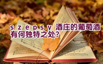 “szepsy酒庄的葡萄酒有何独特之处？”插图