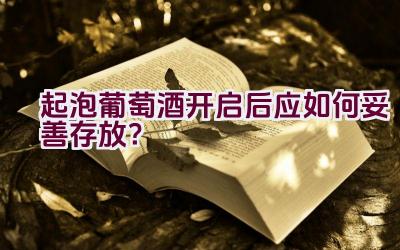 起泡葡萄酒开启后应如何妥善存放？插图