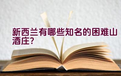 新西兰有哪些知名的困难山酒庄？插图