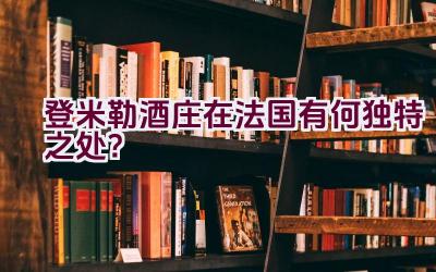 登米勒酒庄在法国有何独特之处？插图