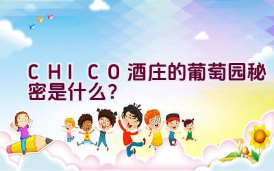 CHICO酒庄的葡萄园秘密是什么？插图