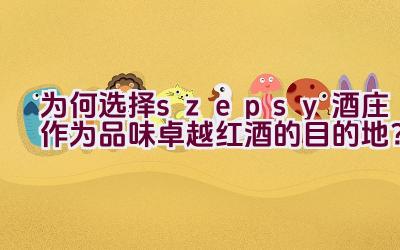 “为何选择szepsy酒庄作为品味卓越红酒的目的地？”插图