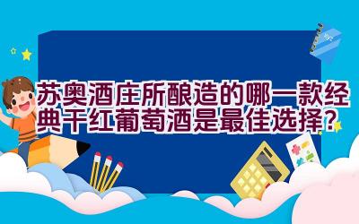 苏奥酒庄所酿造的哪一款经典干红葡萄酒是最佳选择？插图